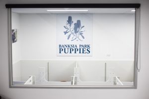 Puppy Information Centre