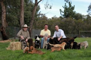 three generations of dog breeding