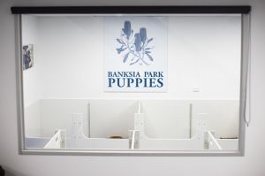 Puppy Information Centre