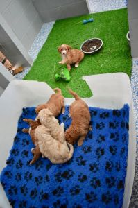 Photos - Birthing Nursery