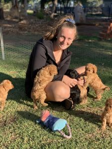 Banksia Park Puppies Riverina