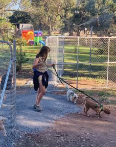 Banksia Park Puppies Riverina