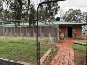 Banksia Park Puppies Riverina