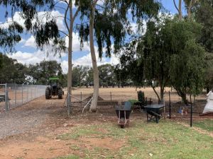 Banksia Park Puppies Riverina